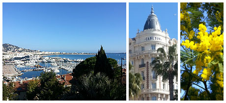 Photos de Cannes